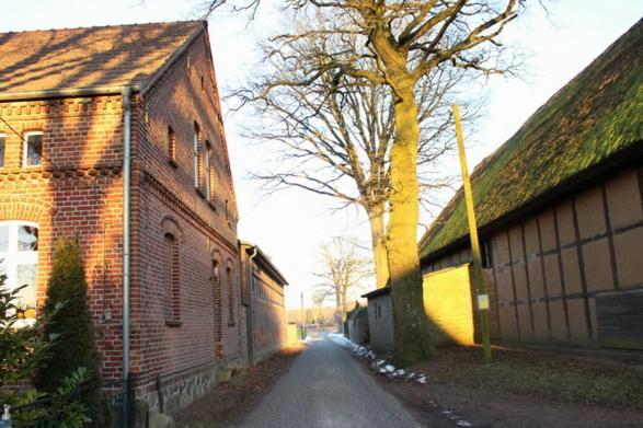 Ferienwohnung Buchholz Buchholz (Mecklenburg-Vorpommern) Exterior foto